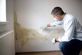 Best HVAC Mold Inspection and Cleaning in Eagle Lake, TX